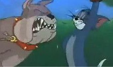 最新老鼠爆料视频下载安装,最新老鼠爆料视频下载安装全过程解析